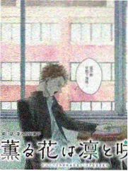 风蚀峡谷海报